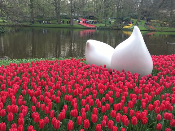 Keukenhof_20