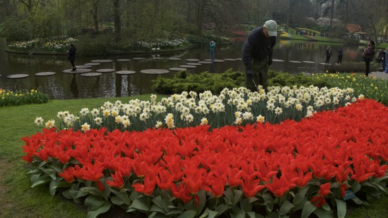 Keukenhof_06