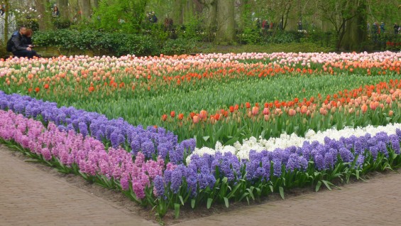 Keukenhof_09
