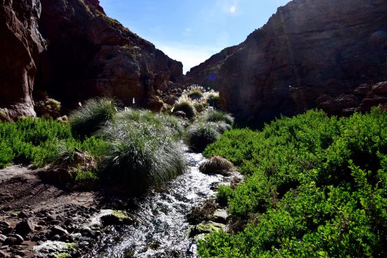 Tierra_Atacama_40