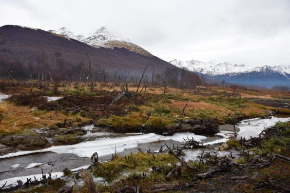 Brasileiros_em_Ushuaia_59