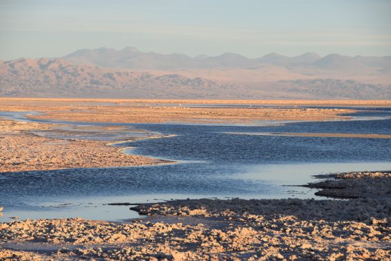 Tierra_ Atacama_16