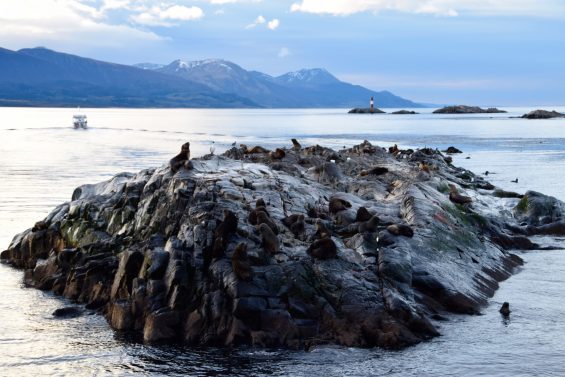Brasileiros_em_Ushuaia_52