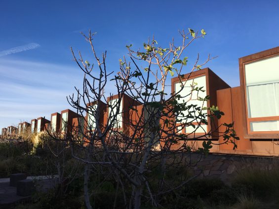 Tierra_Atacama_9