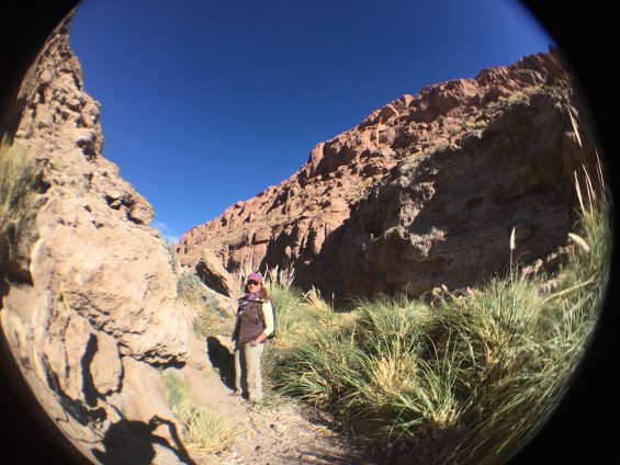 Tierra_Atacama_23