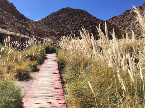 Tierra_Atacama_