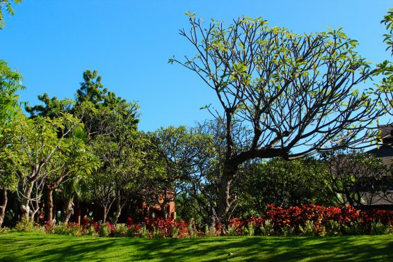 aureum_palace_hotel_bagan_05
