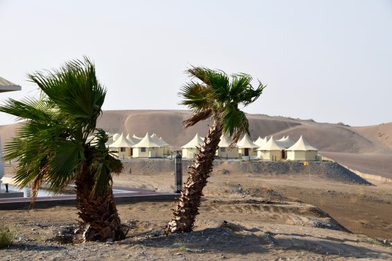 dunes_by_al_nahda_oman_desert_13