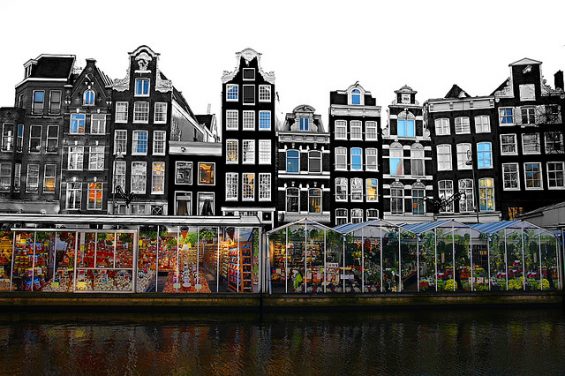 bloemenmarkt_amsterdam_01