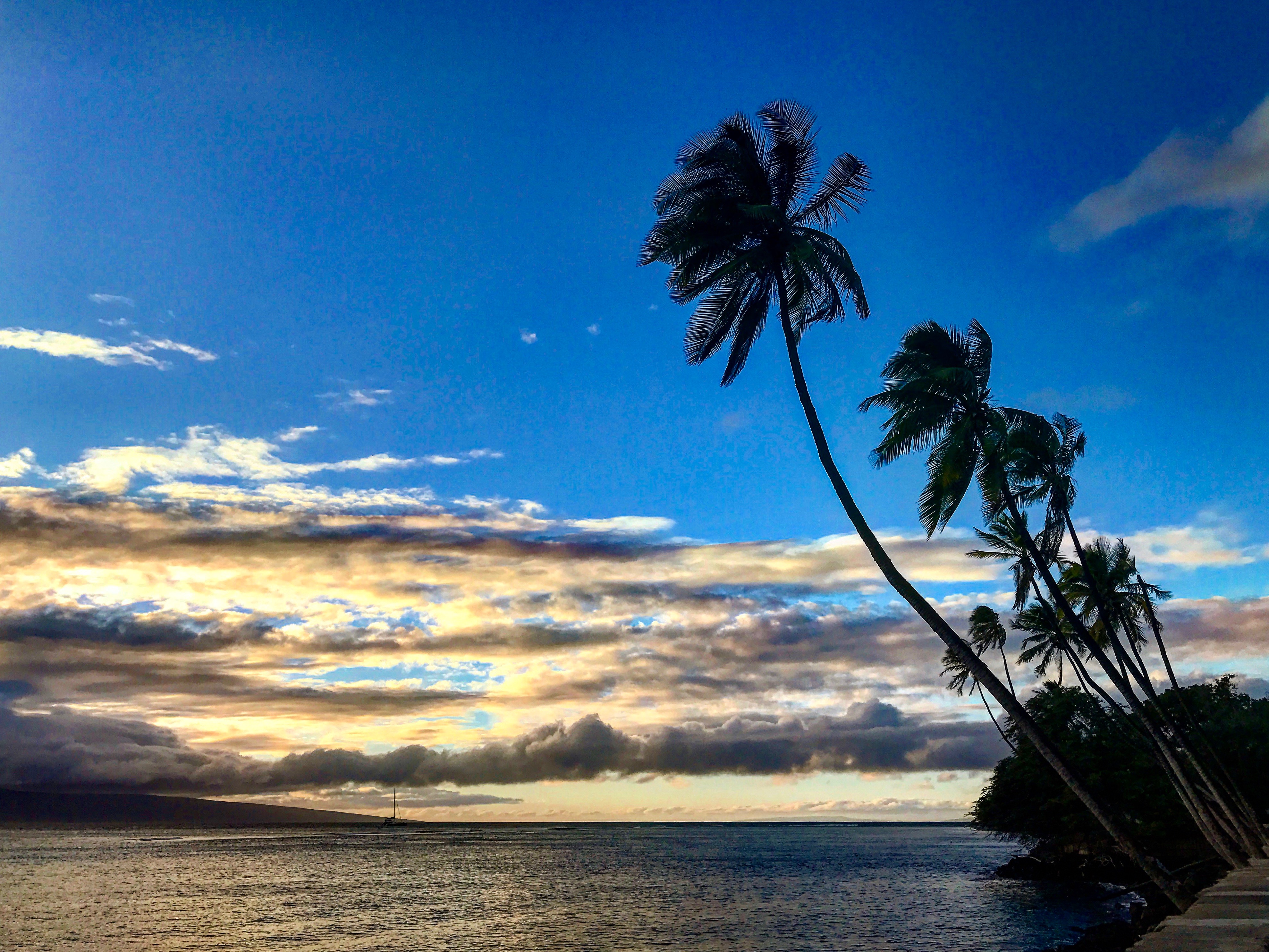 Maui, a ilha perfeita no Hawaii - Flavia Pires Explora