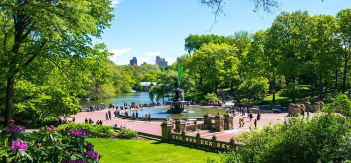 Foto do Central Park com vista ampla. No centro, um chafariz com lago embaixo. Ao redor, muitas plantas, grama, árvores e pessoas.